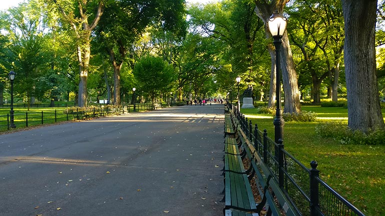 Gedraag je in het park als een local met een kop koffie en een goed boek