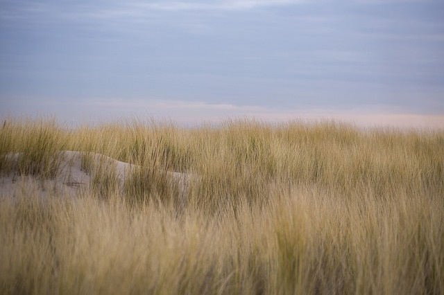 Ijmuiden dingen om te doe